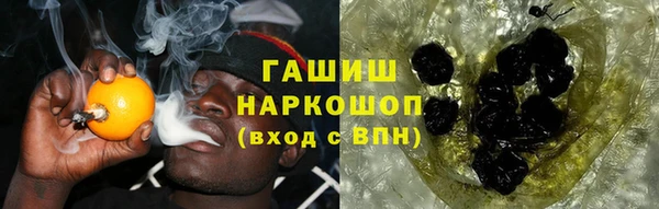 гашик Балахна