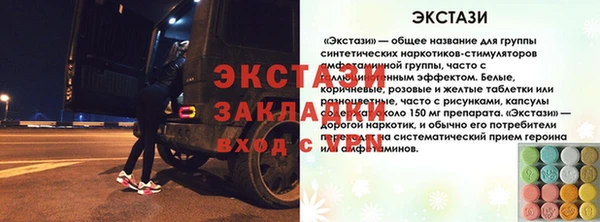 шишки Беломорск