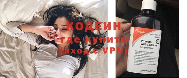 шишки Беломорск
