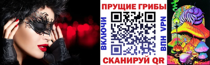Псилоцибиновые грибы Cubensis  ОМГ ОМГ ссылки  Демидов 